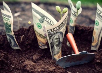 Grow Your Own Vegetables And Save Money