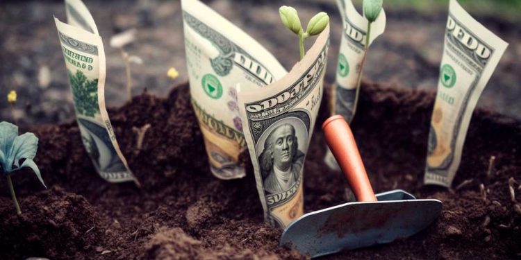 Grow Your Own Vegetables And Save Money