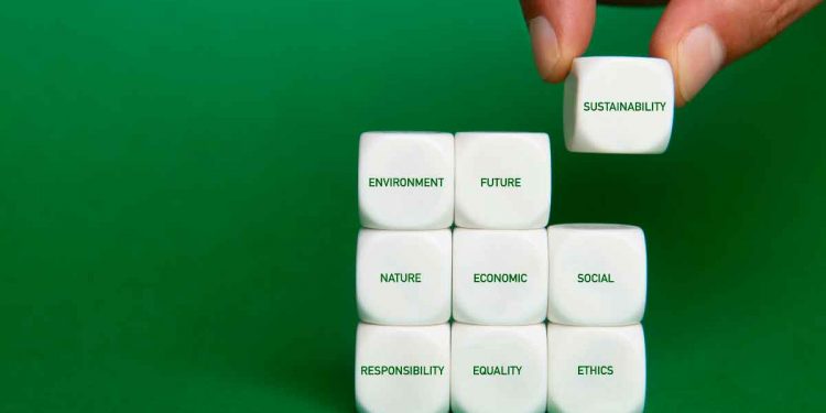 No-Spend Challenges And Sustainable Living